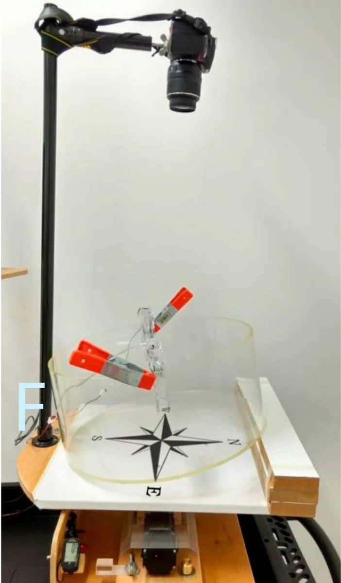 Rotating Tank Experiments 2