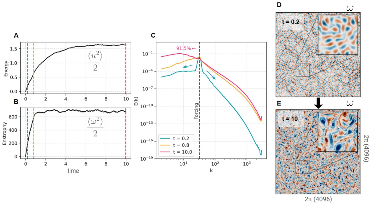 Two-Dimensional Forced Turbulence